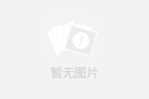 低溫耐硫抗堿脫硝催化劑經典工程項目分析